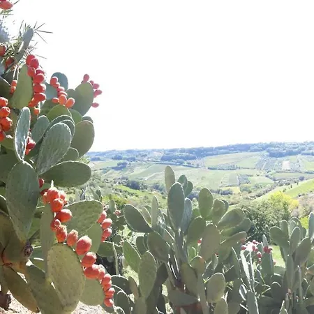Дом отдыха Casa Del Leone Rosso E Welness A Due Passi Dalla Costa Dei Trabocchi *