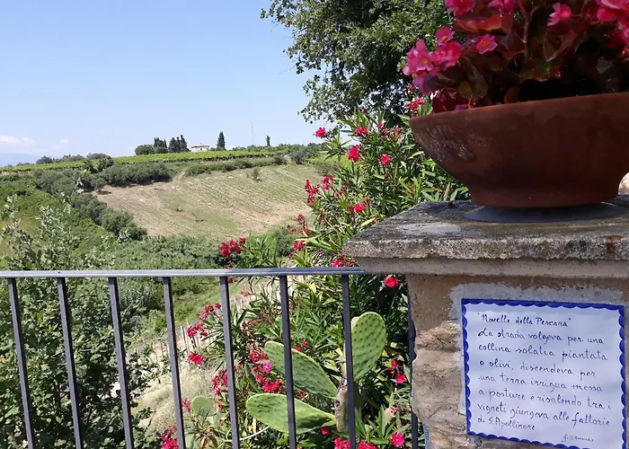 Casa Del Leone Rosso E Welness A Due Passi Dalla Costa Dei Trabocchi Дом отдыха *