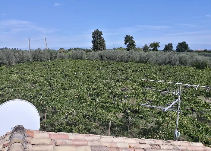 Σπίτι διακοπών Casa Del Leone Rosso E Welness A Due Passi Dalla Costa Dei Trabocchi San Vito Chietino