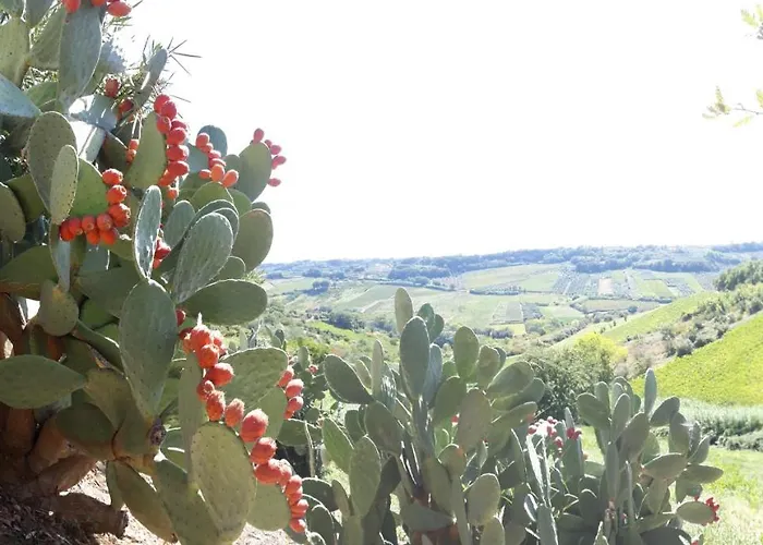 Σπίτι διακοπών Casa Del Leone Rosso E Welness A Due Passi Dalla Costa Dei Trabocchi *